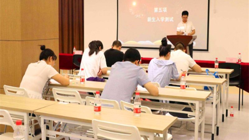 会计培训学校加盟，政策支持背后的考量因素
